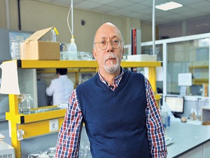 Denizdeki petrolü emen sünger geliştirdi