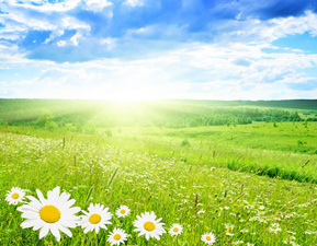 Çevreciler, Nevruz'da çevreci bir yaklaşım bekliyor