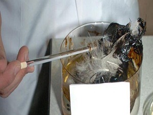 Liseli öğrencilerin projesi ABD'ye ilham oldu