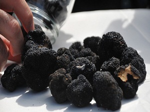 Siyah elmas Türkiye’de de üretiliyor