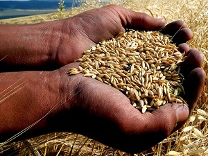 Türkiye 2023 için 150 milyar dolar tarımsal hasıla hedefledi