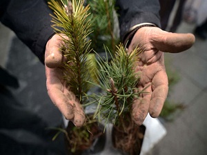 Türkiye 23 ülkeden biri oldu