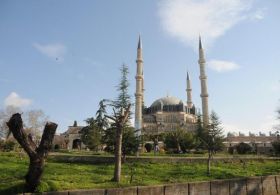 Selimiyenin Çevresindeki Ağaçlar Kesildi