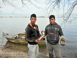 Yazın pamuk kışın balık