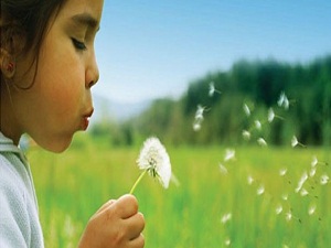 Sonbahar alerjisinde temizliğe dikkat!