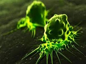 Tıpta devrim açacak kamera !