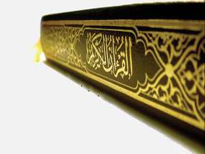 Allah, benim de Rabbim, sizin de Rabbinizdir