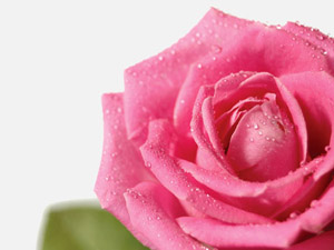 Temizlik imanın yarısıdır