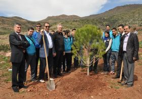 İzmirde 1 Milyon Fidan Dikildi