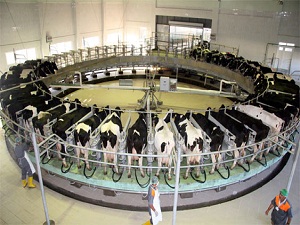 Çiftçiye 209 milyon liralık destek