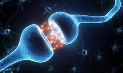 Bu bağlantı ilk defa keşfedildi