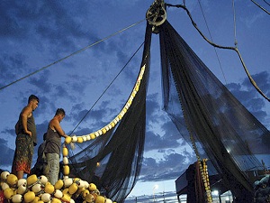 Faiz ağına bu kez de balıkçılar yakalandı
