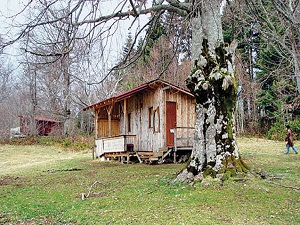 Vatandaş, orman içindeki yayla evlerine kira ödeyecek