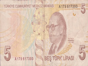Mor 5 liralar bugün tedavülde