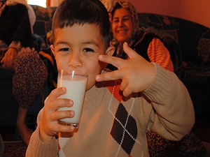 Avrupa’ya süt ihracatı başlıyor