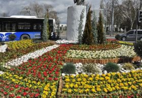 Ankara’ya bu yıl 150 bin ağaç dikiliyor