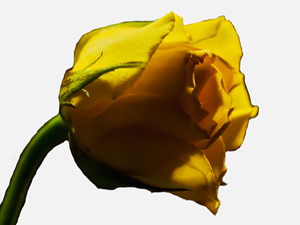 İnsanlara karşı güzel ahlâkın gereğine göre davran