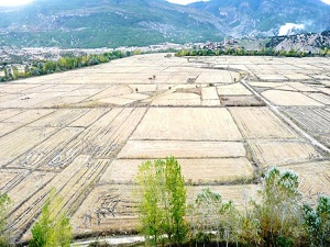 Tarım arazilerinde tek mirasçı dönemi