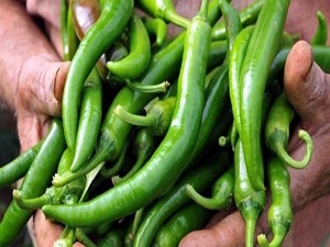 Trakya'nın zam şampiyonu