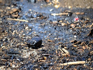 Petrol kirliliğine bakteri çare oldu