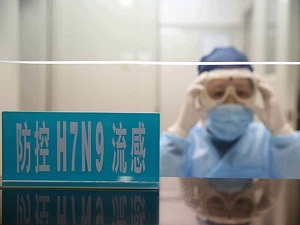 H7N9 virüsünden ölenlerin sayısı artıyor