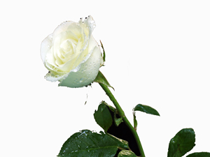 Çocuklara yaptığın harcamanın sevabı senindir