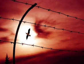 Bediüzzaman'ın hürriyet tanımınında iman merkeze oturuyor