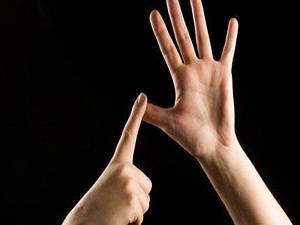 Türk işaret dilini dünyaya tanıtıyorlar