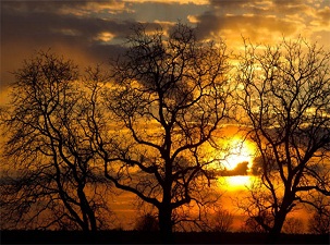 Son 600 yılın en sıcak yazları