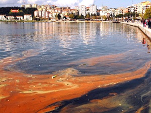 Çanakkale Boğazı'ndaki kirlilik isyan ettirdi
