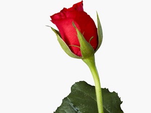 Resulullah yolculuktan dönünce ilk önce namaz kılardı