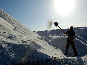 Devlet, tuz fabrikası kuruyor
