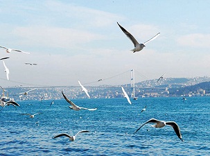 İstanbul’un havası temiz çıktı