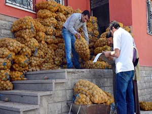 İhtiyaç sahiplerine patates takviyesi !