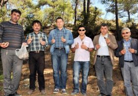 Kuzugöbeği Mantarı gelir kaynağı oldu