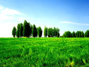 Yatırımlık arazi "bir tık uzakta" olacak