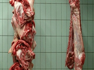 İnanılır gibi değil, 111 ton at eti yediler