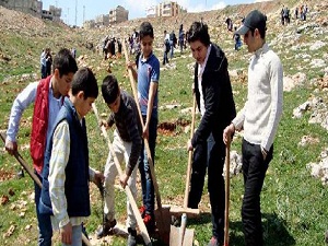Suriyeliler, Gaziantep'te 4 bin fidan dikti