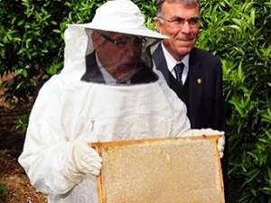 Narenciye balı 10 bin liraya satıldı