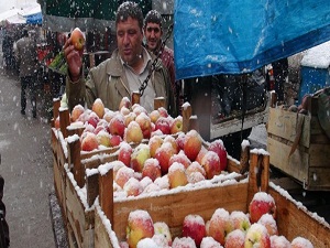 Meyve ve sebzeler kar altında kaldı