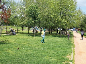 Parkımı otopark yapma!