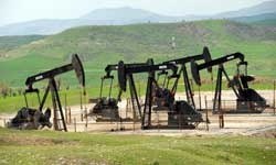 Irak'ta zeytinyağı kalitesinde petrol