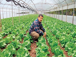 Dengeler hassas, sigortayı hafife almayın