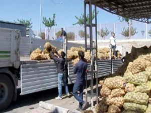 Şanlıurfa'dan Suriye'ye 5 Tır Patates