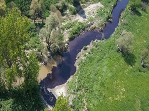 Ergene Nehri'nin kirliliği görüntülendi