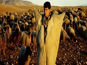 Türkiye'ye 'Çoban Okulu' geliyor