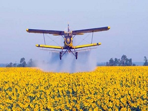 Denetimsiz ve bilinçsiz ilaçlama ihracatı olumsuz etkiliyor