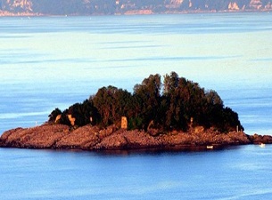 Giresun Adası iki aylığına kuşlara bırakılacak