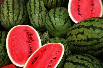 Yerli karpuz hasadı 15 Mayıs'ta başlıyor