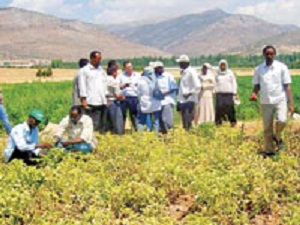 Sudan Tarımda Türkiye'yi Model Alıyor